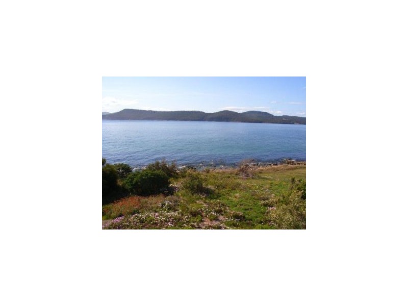 572 White Beach Road, White Beach TAS 7184