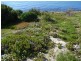 572 White Beach Road, White Beach TAS 7184