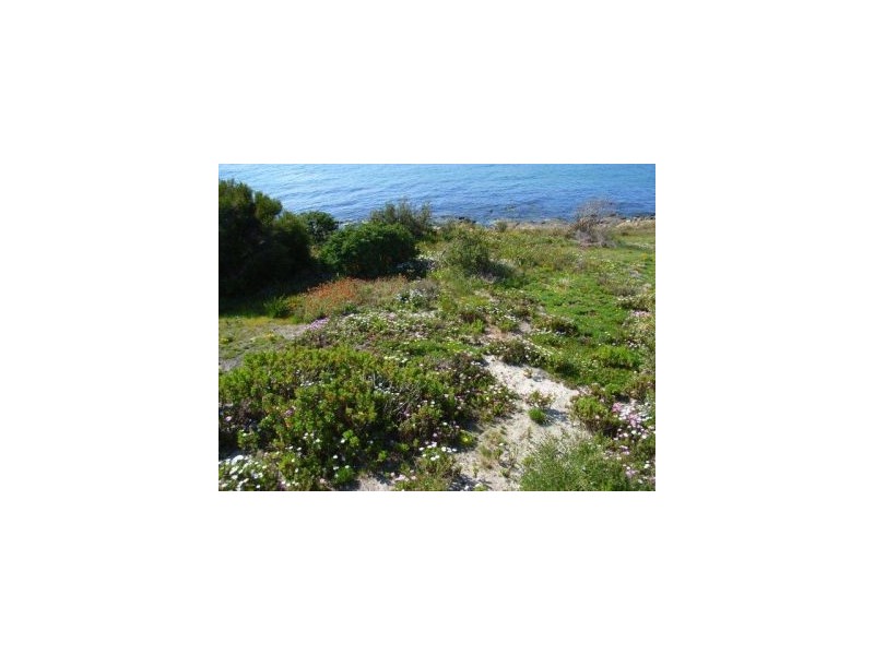 572 White Beach Road, White Beach TAS 7184