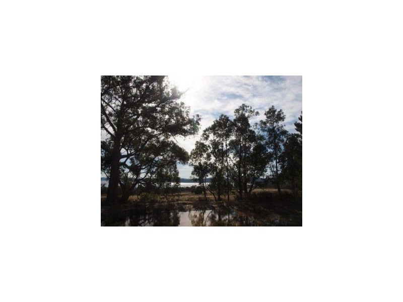 44 Kelletts Rd, Sloping Main TAS 7186