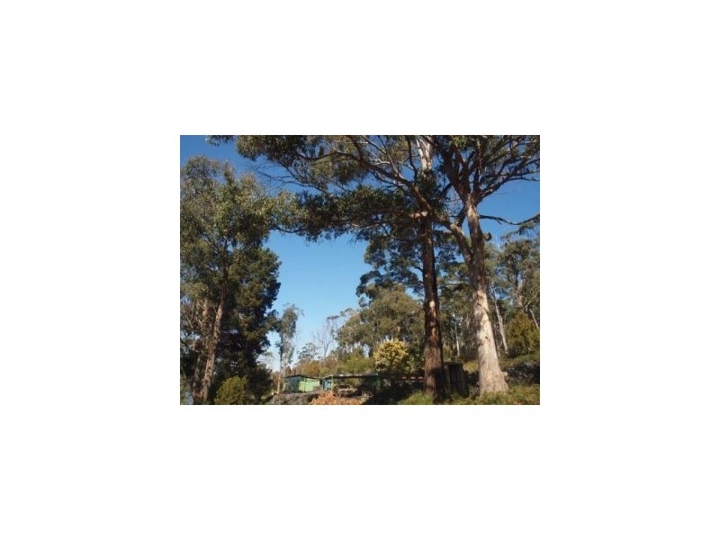 335 Bay Rd, Boomer Bay TAS 7177