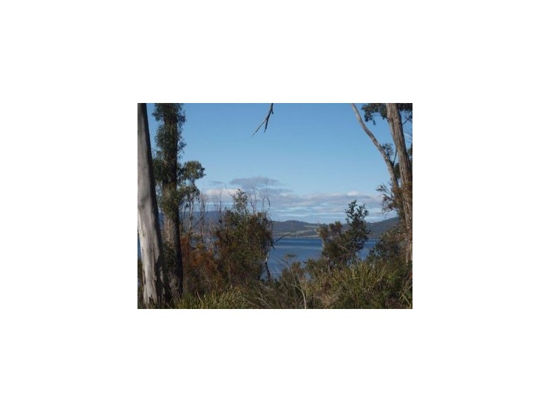335 Bay Rd, Boomer Bay TAS 7177