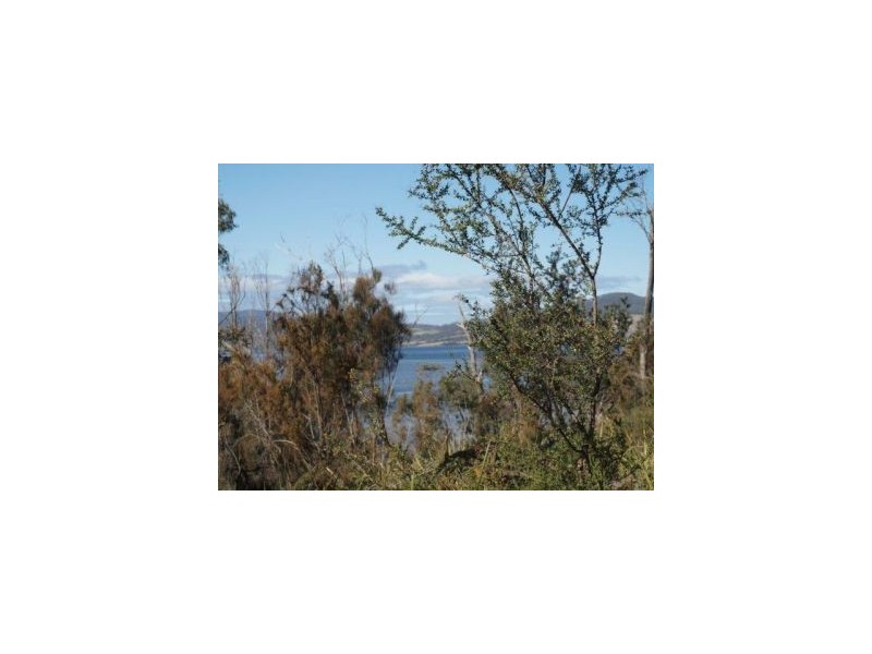 335 Bay Rd, Boomer Bay TAS 7177