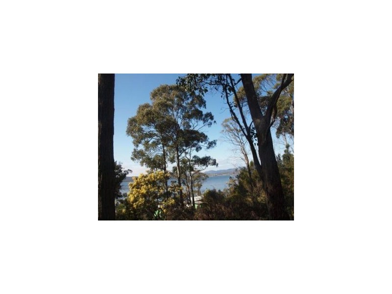 335 Bay Rd, Boomer Bay TAS 7177