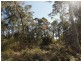 335 Bay Rd, Boomer Bay TAS 7177