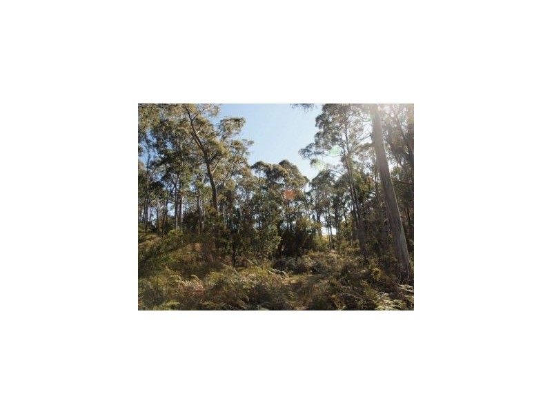 335 Bay Rd, Boomer Bay TAS 7177