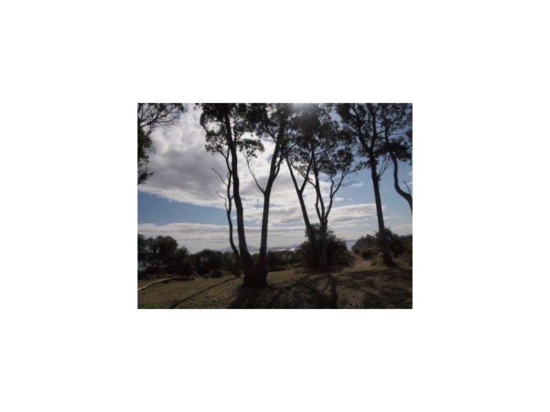Lot 17 Sloping Main Drive, Sloping Main TAS 7186