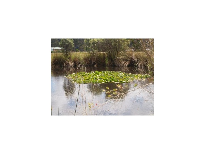 Lot 1 Safety Cove Road, Port Arthur TAS 7182