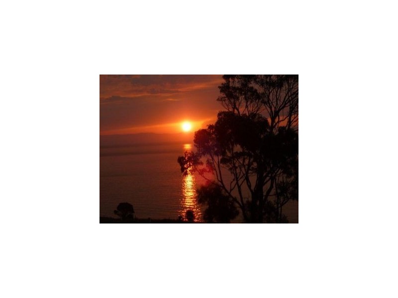 L9  White Beach Rd, White Beach TAS 7184