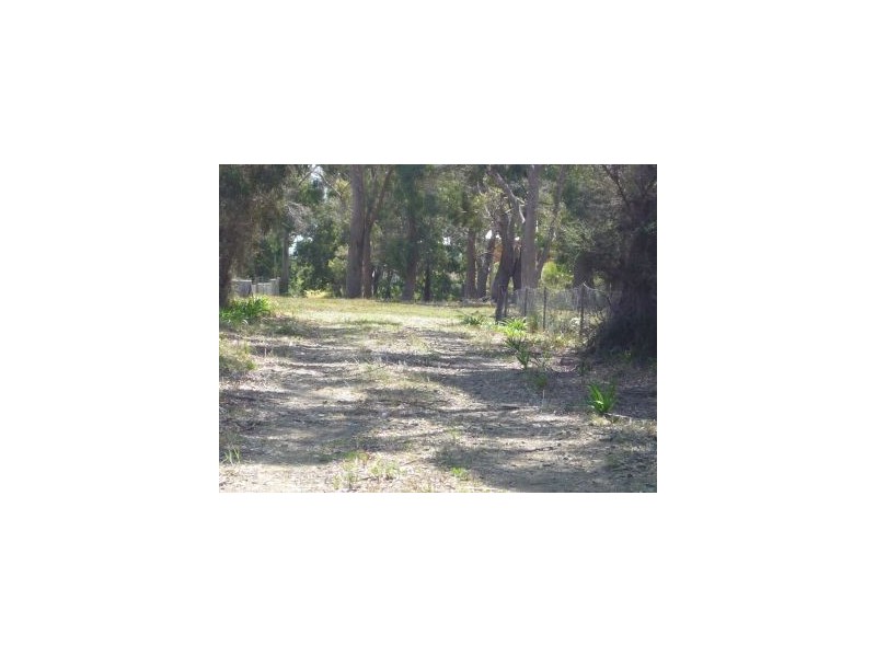 20 Fox Avenue, White Beach TAS 7184