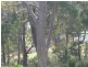 20 Fox Avenue, White Beach TAS 7184