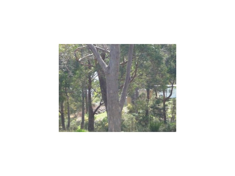20 Fox Avenue, White Beach TAS 7184