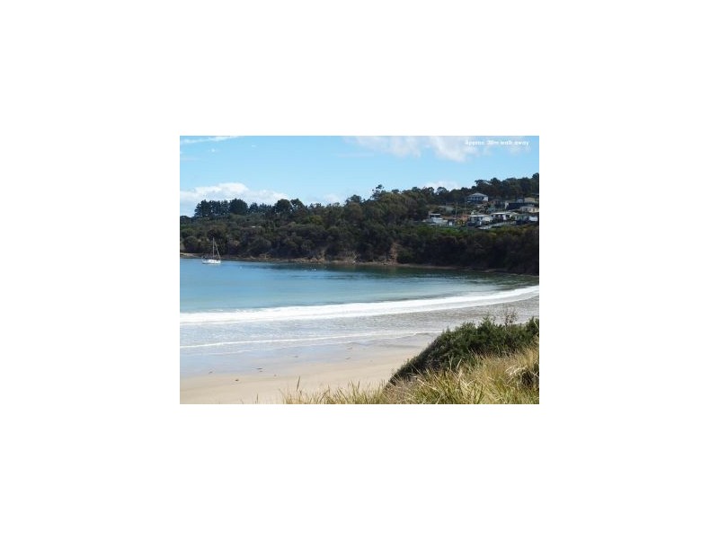 21 Petrel Street, Primrose Sands TAS 7173