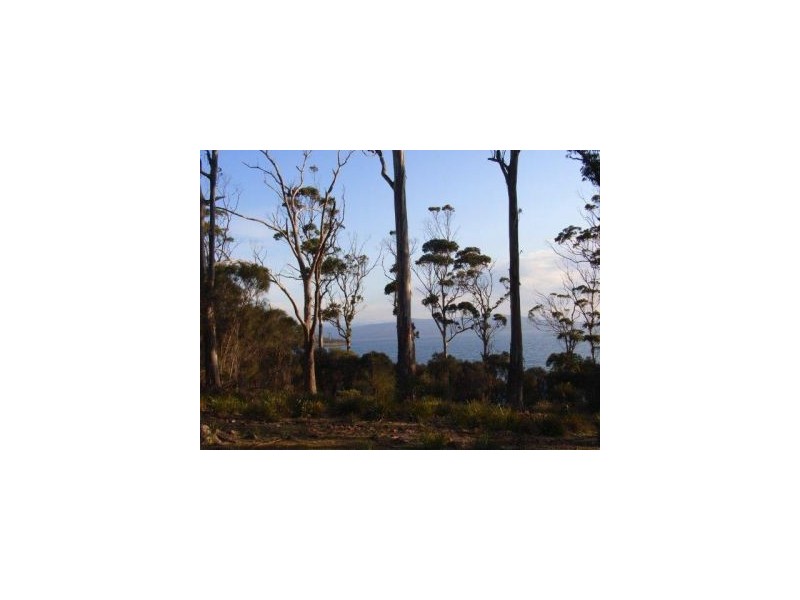 668 Sommers Bay Rd, Murdunna TAS 7178