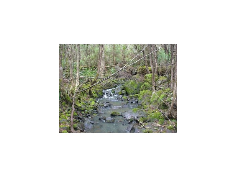 Lot 1 Nubeena Road, Nubeena TAS 7184