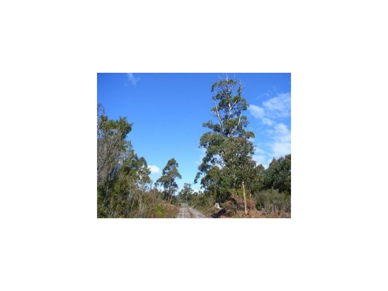 Lot 1 Nubeena Road, Nubeena TAS 7184