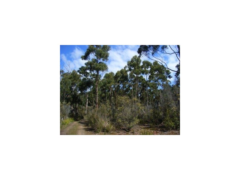 Lot 1 Nubeena Road, Nubeena TAS 7184