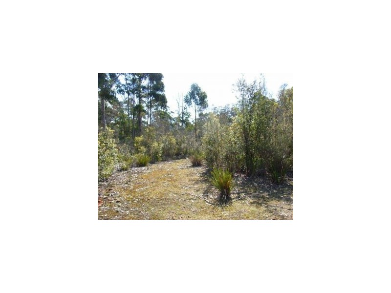 Lot 1 Nubeena Road, Nubeena TAS 7184