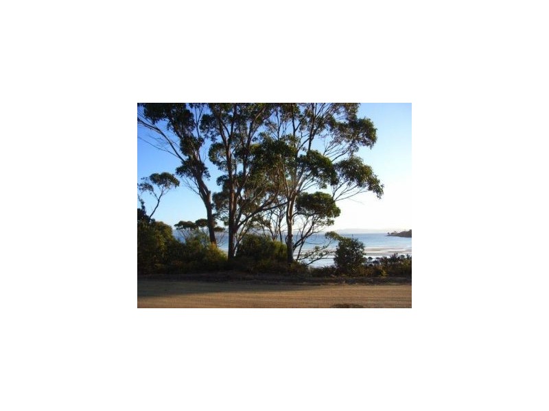 549 Sommers Bay Road, Murdunna TAS 7178