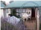 120 Arthur Highway, Dunalley TAS 7177