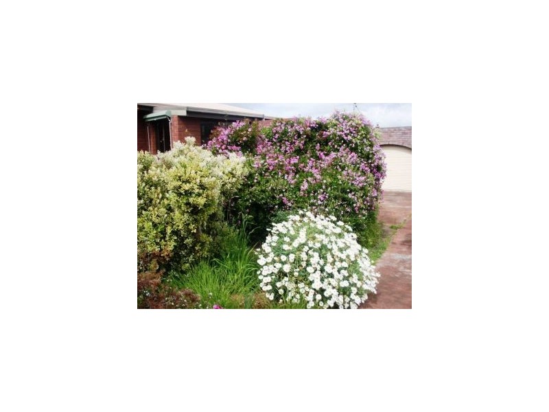 50 Raynors Road, Midway Point TAS 7171