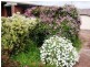 50 Raynors Road, Midway Point TAS 7171
