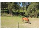 88 Woolleys Road, Kellevie TAS 7176