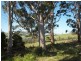 Lot 3 Patrick St, Copping TAS 7174