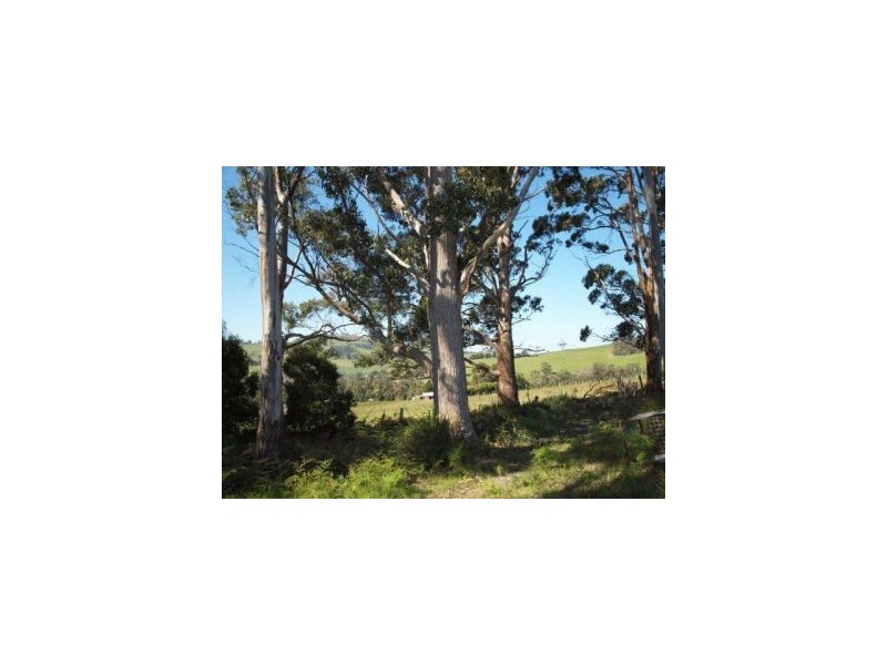 Lot 3 Patrick St, Copping TAS 7174