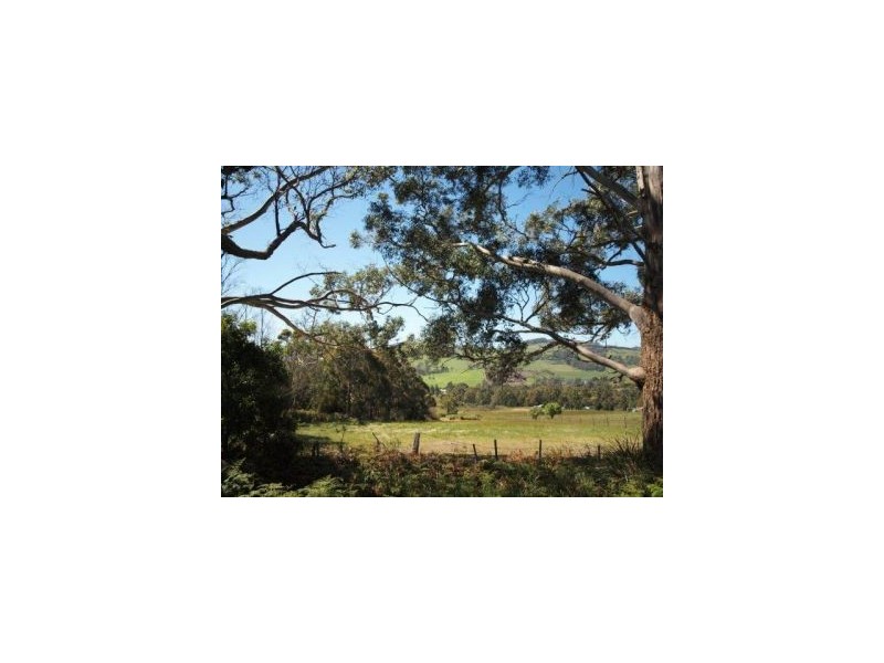 Lot 3 Patrick St, Copping TAS 7174