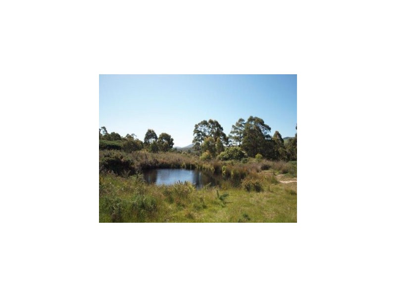 Lot 3 Patrick St, Copping TAS 7174