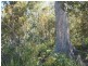 Lot 3 Patrick St, Copping TAS 7174