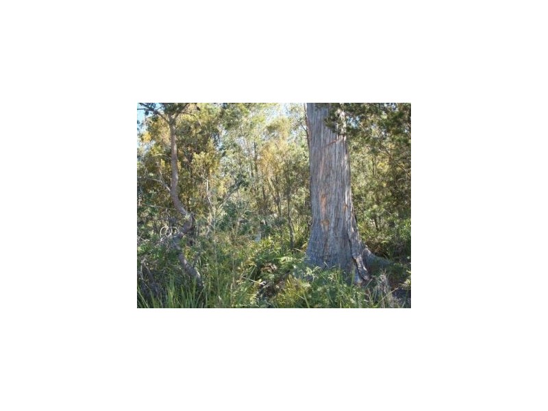 Lot 3 Patrick St, Copping TAS 7174