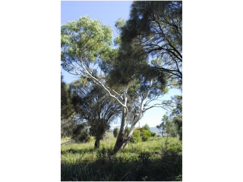 King George Island, Murdunna TAS 7178