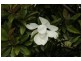 9 George Street, Nubeena TAS 7184