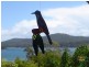 9 George Street, Nubeena TAS 7184