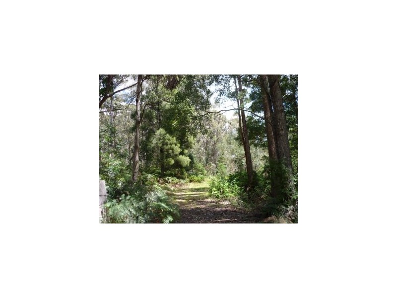 6427 Arthur Hwy, Port Arthur TAS 7182