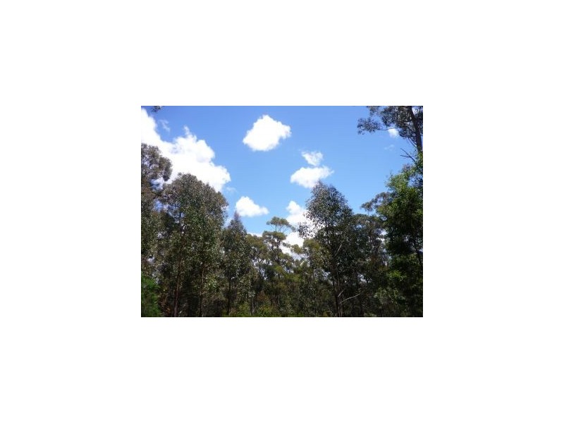 6427 Arthur Hwy, Port Arthur TAS 7182