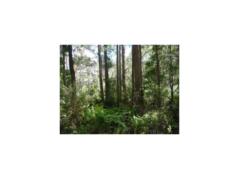 6427 Arthur Hwy, Port Arthur TAS 7182