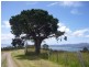 Lot 1 Nubeena Back Road, Koonya TAS 7187
