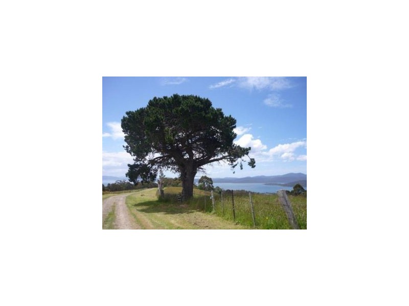 Lot 1 Nubeena Back Road, Koonya TAS 7187