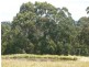 Lot 1 Nubeena Back Road, Koonya TAS 7187