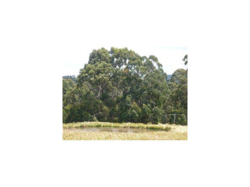 Lot 1 Nubeena Back Road, Koonya TAS 7187