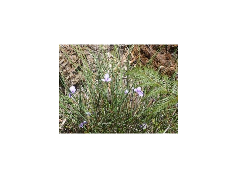 5769 Arthur Hwy, Taranna TAS 7180