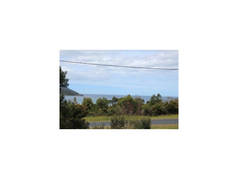 40 Blowhole Rd, Eaglehawk Neck TAS 7179