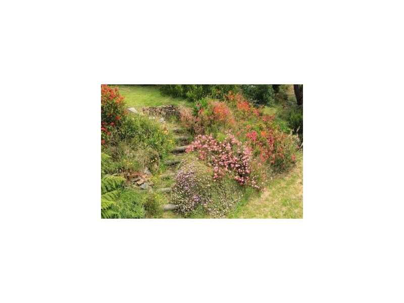 40 Blowhole Rd, Eaglehawk Neck TAS 7179