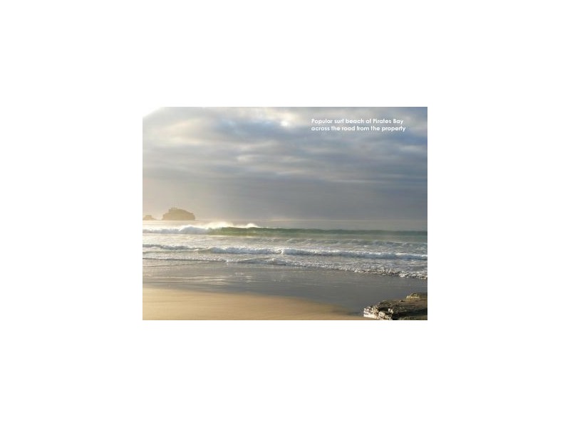 8 Hawks Lane, Eaglehawk Neck TAS 7179