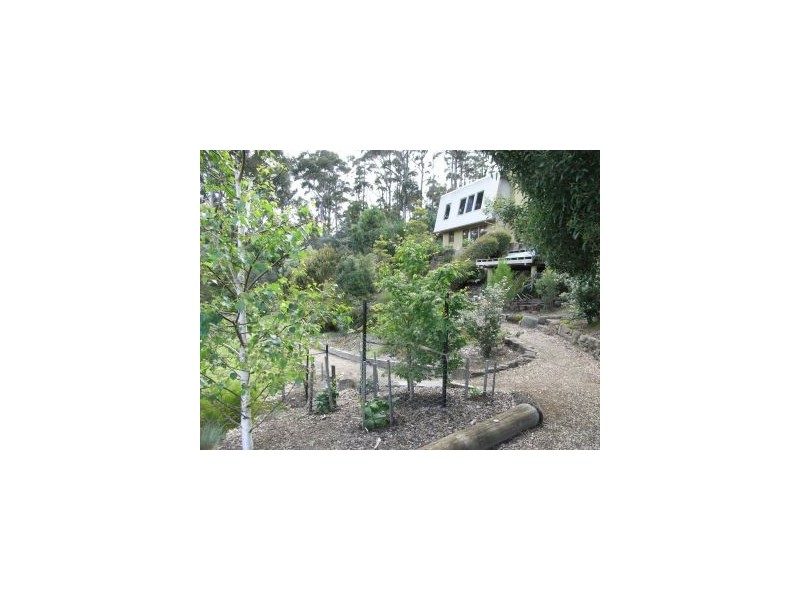 6 Hawks Lane, Eaglehawk Neck TAS 7179