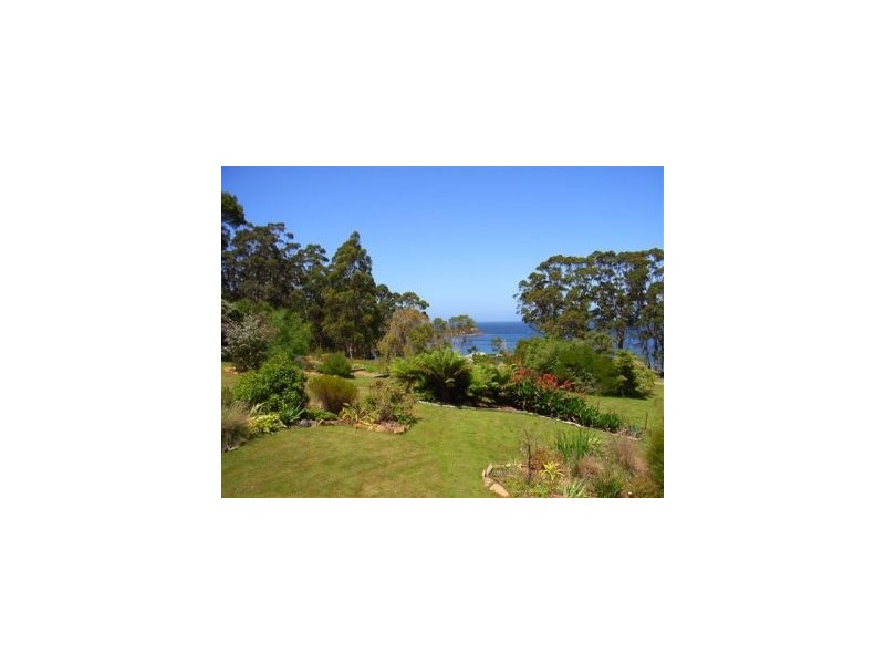 335 Pirates Bay Dr, Eaglehawk Neck TAS 7179