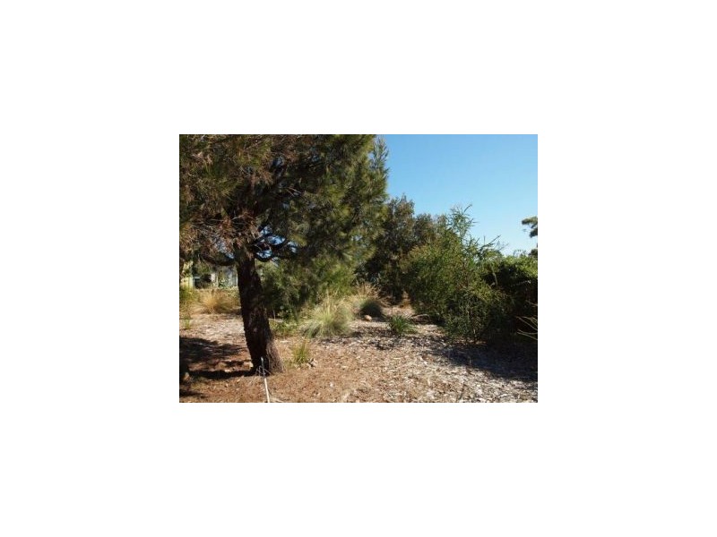 120 Sommers Bay Rd, Murdunna TAS 7178